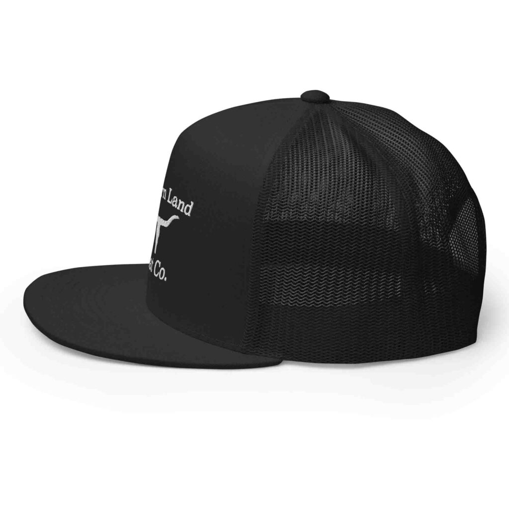 Black mesh cap with white logo