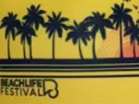 Black palm trees silhouette with "Beachlife Festival" text on yellow background.