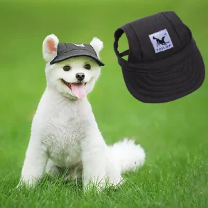 White dog wearing a black baseball cap outdoors