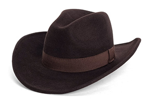 Dark brown felt hat with matching fabric band and wide brim.