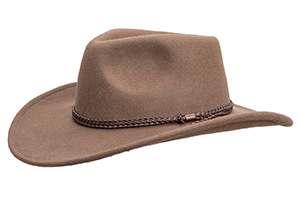 Light brown felt cowboy hat with braided leather band.