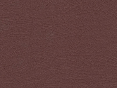 Close-up of brown leather material with natural grain pattern