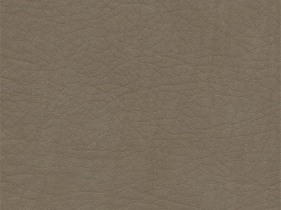 Close-up of taupe leather material with natural grain pattern
