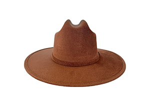 Brown felt hat with wide brim and simple band. 询问 ChatGPT