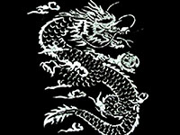 Intricate white dragon illustration on black background.